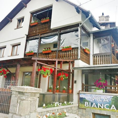 Hotel Bianca House Buşteni Exterior foto