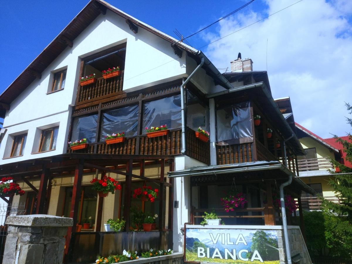 Hotel Bianca House Buşteni Exterior foto