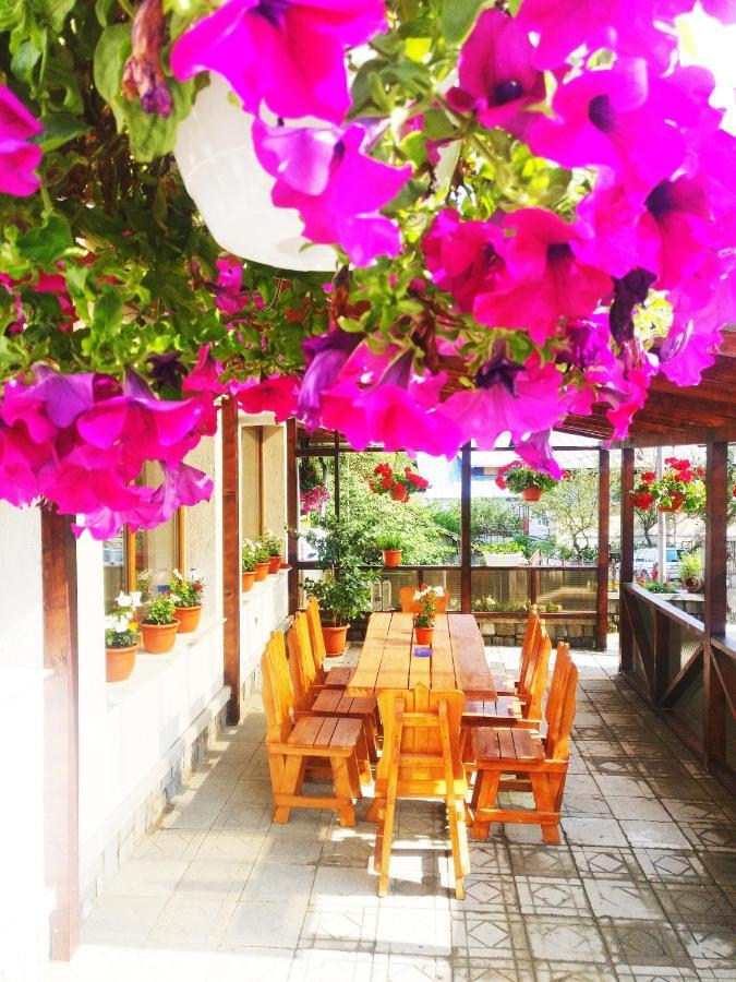 Hotel Bianca House Buşteni Exterior foto